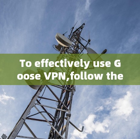 To effectively use Goose VPN,follow these organized steps: