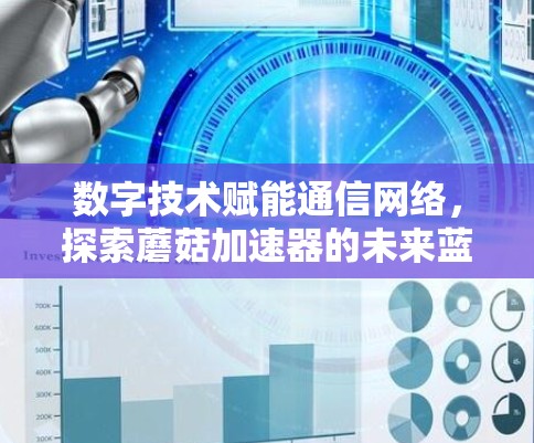 数字技术赋能通信网络，探索蘑菇加速器的未来蓝图