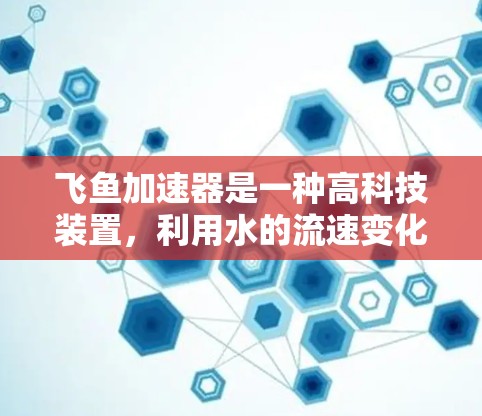 飞鱼加速器是一种高科技装置，利用水的流速变化来加速飞鱼，是一种研究和测试飞鱼运动机制的工具。以下是关于飞鱼加速器的详细分析