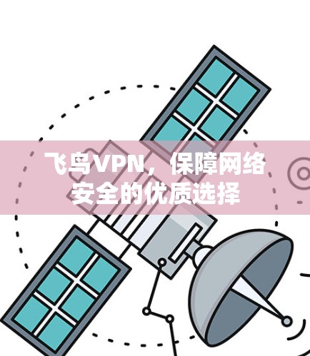 飞鸟VPN，保障网络安全的优质选择
