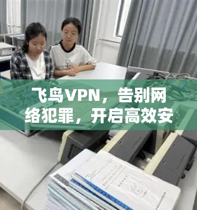 飞鸟VPN，告别网络犯罪，开启高效安全的VPN体验