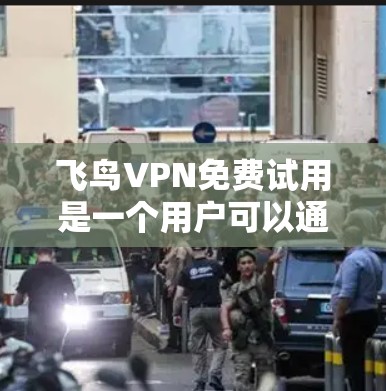 飞鸟VPN免费试用是一个用户可以通过其官网或应用商店申请的试用服务，旨在提供一个免费的试用版本，以体验其VPN功能。以下是对该服务的详细信息