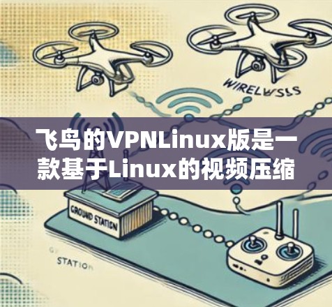 飞鸟的VPNLinux版是一款基于Linux的视频压缩和解压缩工具，提供丰富的新功能和改进，使其在处理多种视频流方面表现更出色。以下是该版本的主要特点和优势