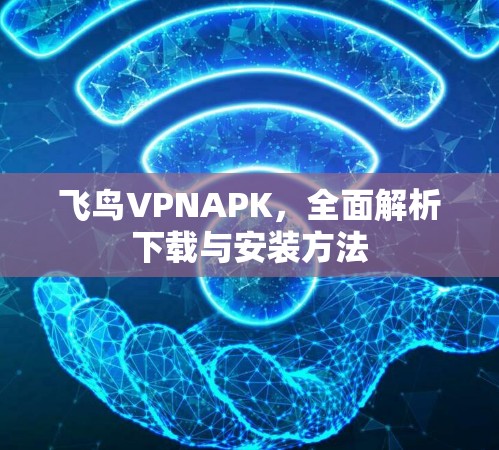 飞鸟VPNAPK，全面解析下载与安装方法