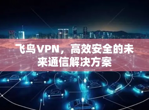 飞鸟VPN，高效安全的未来通信解决方案