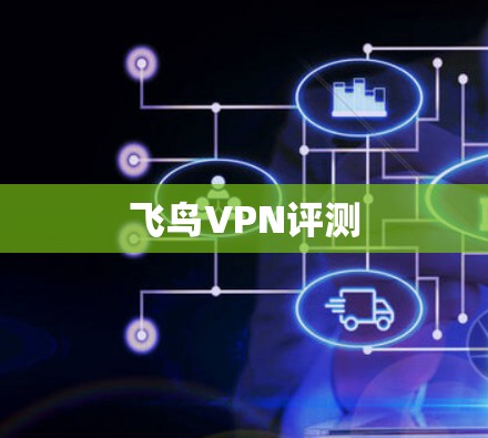 飞鸟VPN评测