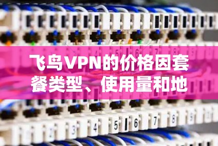 飞鸟VPN的价格因套餐类型、使用量和地区而异。以下是详细的了解