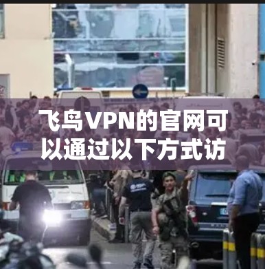 飞鸟VPN的官网可以通过以下方式访问