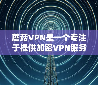 蘑菇VPN是一个专注于提供加密VPN服务的公司，由加密技术专家 Shahid创立，其官网提供了大量关于如何使用、如何连接、如何选择套餐的信息。以下是关于蘑菇VPN的详细分析