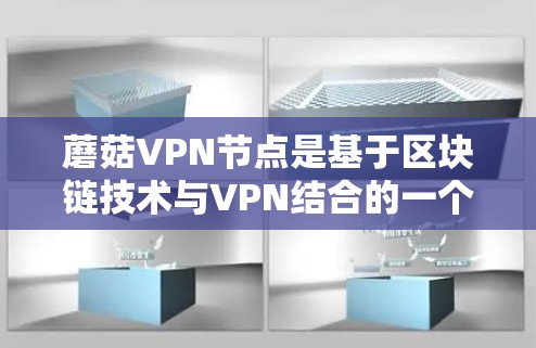 蘑菇VPN节点是基于区块链技术与VPN结合的一个安全网络环境，旨在为用户提供一个隐藏的、安全的VPN连接方式。以下是关于蘑菇VPN节点的详细说明