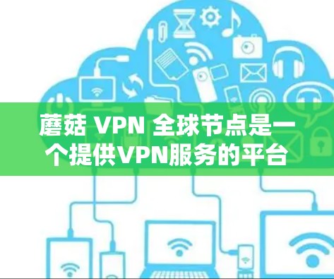蘑菇 VPN 全球节点是一个提供VPN服务的平台，旨在帮助用户访问外部网站，保护隐私。以下是对蘑菇 VPN 全球节点的详细分析和总结