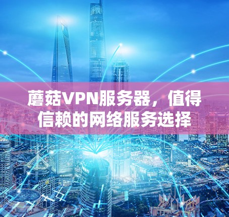 蘑菇VPN服务器，值得信赖的网络服务选择
