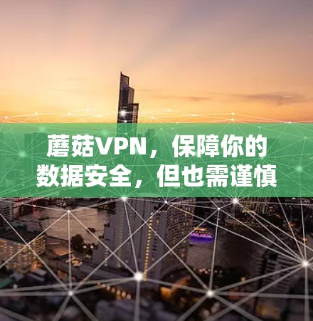蘑菇VPN，保障你的数据安全，但也需谨慎使用！