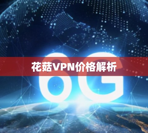 花菇VPN价格解析