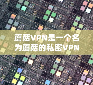 蘑菇VPN是一个名为蘑菇的私密VPN服务，但它并不是一个公开的或知名的VPN平台。蘑菇VPN可能是一个实验性的服务，或者是一个较为私密的VPN服务，可能用于特定的用途