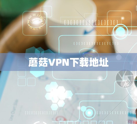 蘑菇VPN下载地址