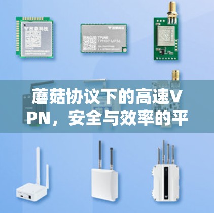 蘑菇协议下的高速VPN，安全与效率的平衡之道