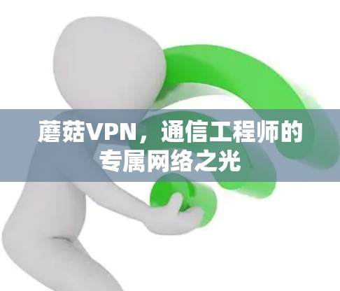 蘑菇VPN，通信工程师的专属网络之光