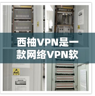 西柚VPN是一款网络VPN软件，专为用户提供安全、隐私和高效的网络流媒体服务。如果你正在寻找一款适合 Android 设备的 VPN 软件，可以试试以下几种版本，这些软件都是经过严格筛选和优化的