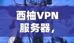 西柚VPN服务器，技术架构与性能优化