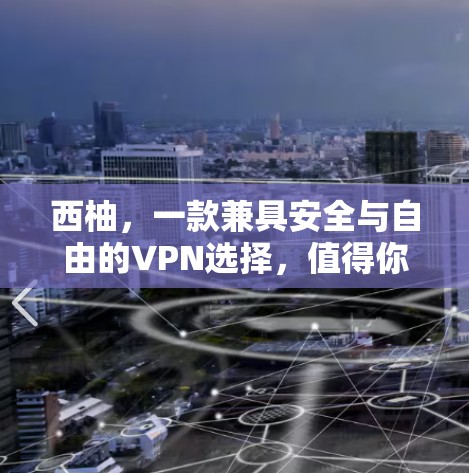 西柚，一款兼具安全与自由的VPN选择，值得你的考虑！