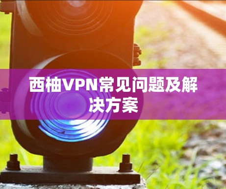 西柚VPN常见问题及解决方案