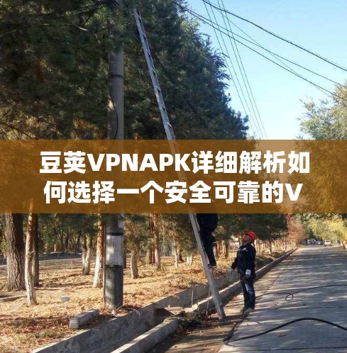 豆荚VPNAPK详细解析如何选择一个安全可靠的VPN
