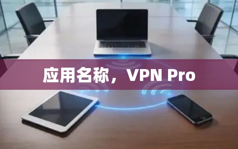 应用名称，VPN Pro