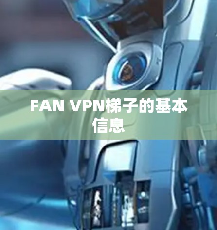 FAN VPN梯子的基本信息