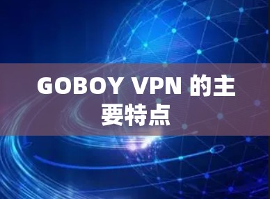GOBOY VPN 的主要特点
