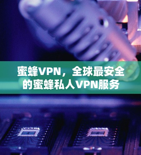 蜜蜂VPN，全球最安全的蜜蜂私人VPN服务