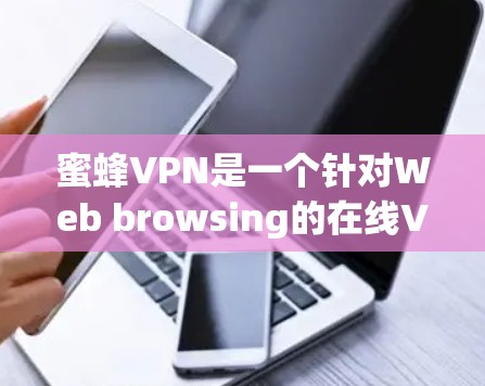 蜜蜂VPN是一个针对Web browsing的在线VPN软件，提供多种加密方式，如AES和RSA，支持多种协议。以下是下载并安装蜜蜂VPNWindows版的步骤