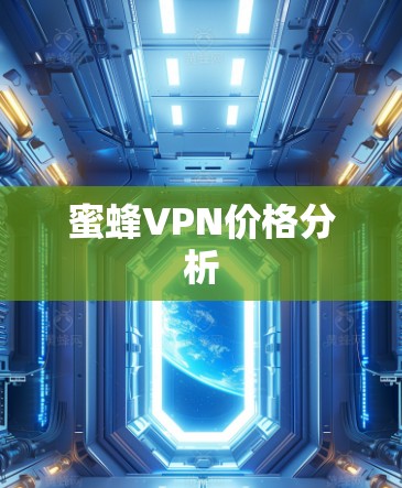 蜜蜂VPN价格分析