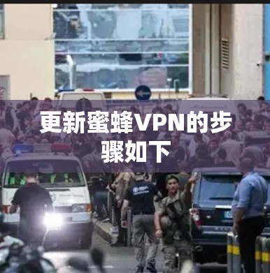 更新蜜蜂VPN的步骤如下