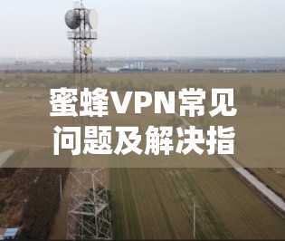 蜜蜂VPN常见问题及解决指南