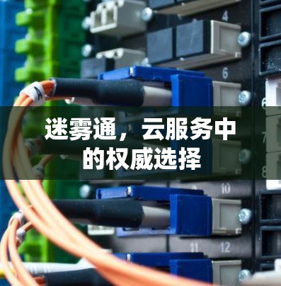 迷雾通，云服务中的权威选择
