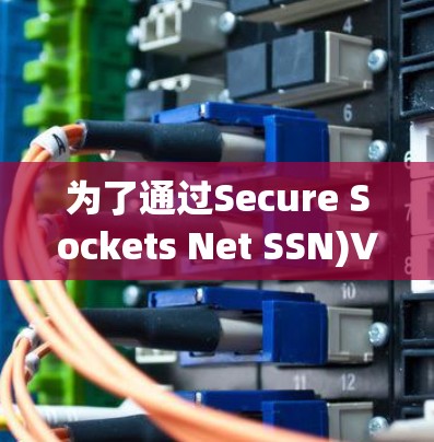 为了通过Secure Sockets Net SSN)VPN，按照以下步骤操作