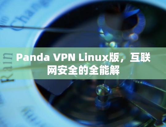 Panda VPN Linux版，互联网安全的全能解