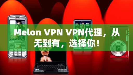 Melon VPN VPN代理，从无到有，选择你！