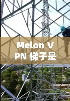 Melon VPN 梯子是一个功能强大的网络VPN服务，允许用户创建一个配置文件（称为梯子文件）来管理他们的VPN设置。以下是关于 Melon VPN 梯子的使用指南和常见问题的解答