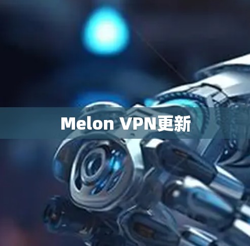 Melon VPN更新