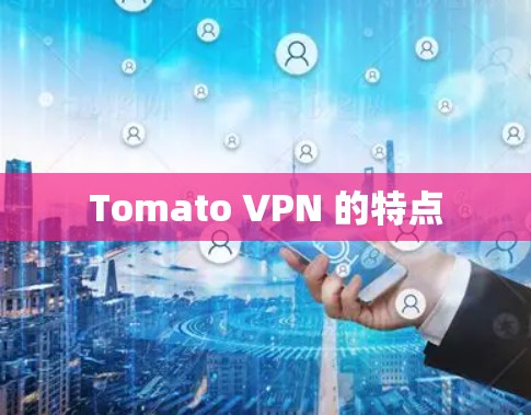 Tomato VPN 的特点