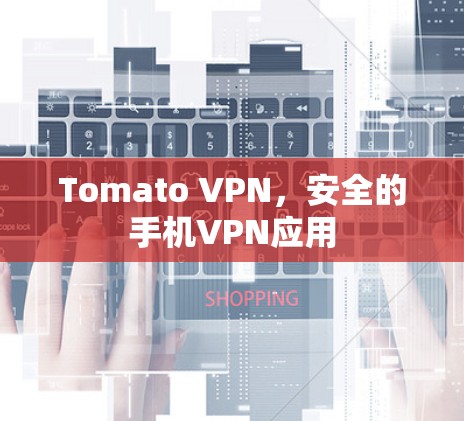 Tomato VPN，安全的手机VPN应用