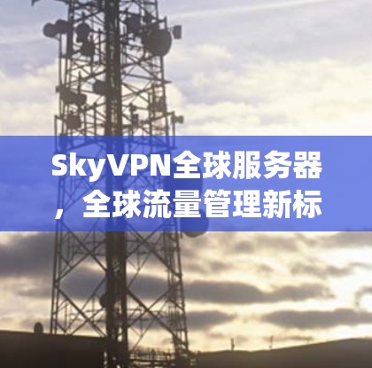 SkyVPN全球服务器，全球流量管理新标准