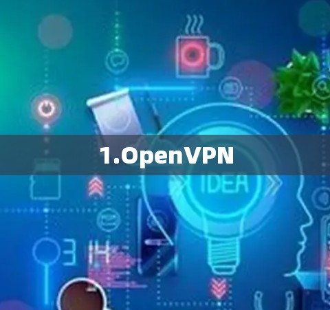 1.OpenVPN