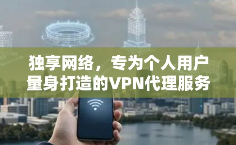 独享网络，专为个人用户量身打造的VPN代理服务