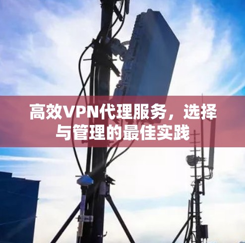 高效VPN代理服务，选择与管理的最佳实践