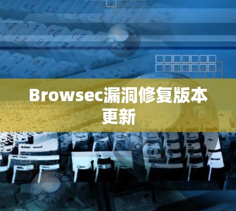 Browsec漏洞修复版本更新