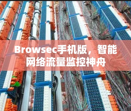 Browsec手机版，智能网络流量监控神舟