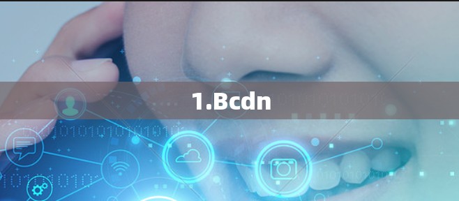 1.Bcdn